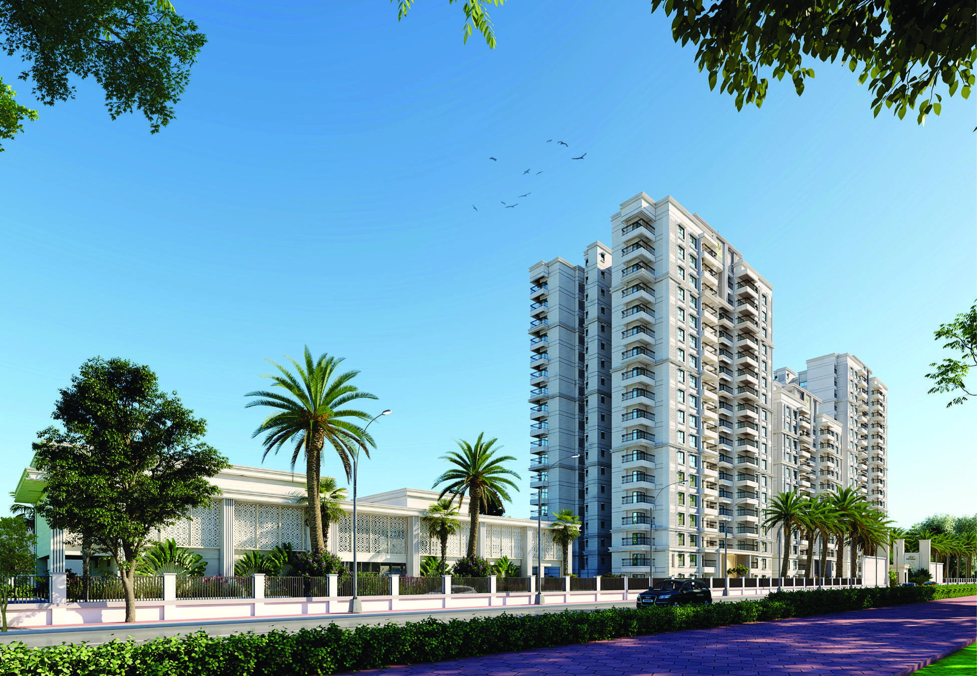 sample Image