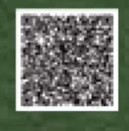 Rera qr code