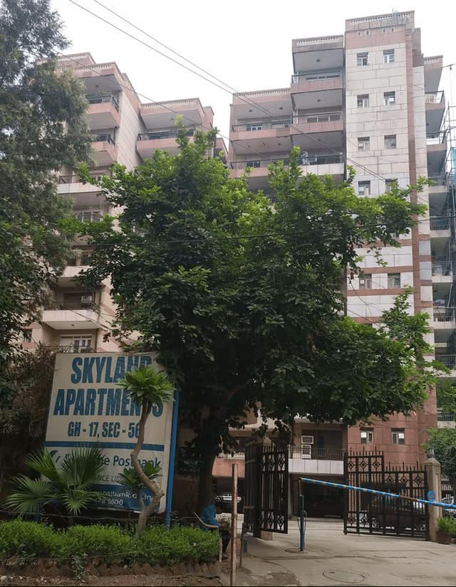 sample Image