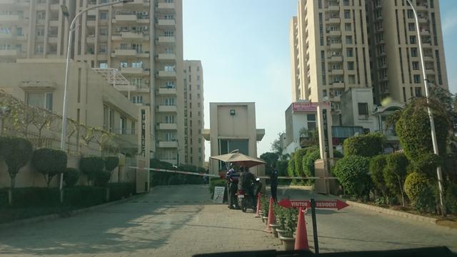 sample Image