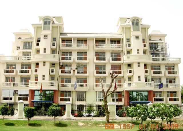 sample Image